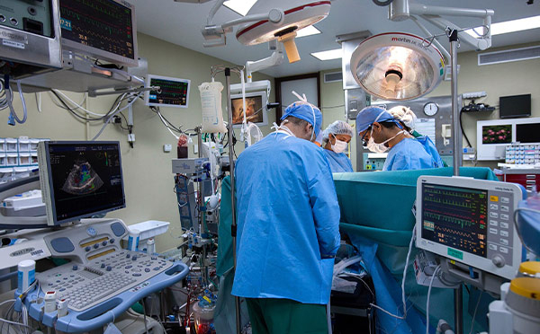 生命的馈赠：器官移植的医学奇迹与人文思考